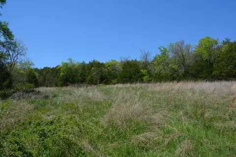 146 Bledsoe Rd, Petersburg, TN 37144