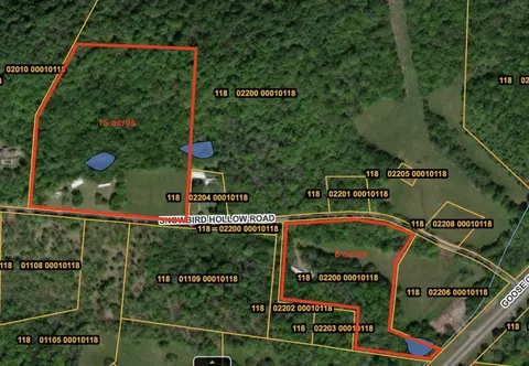 2450 Snowbird Hollow Rd, Franklin, TN 37064