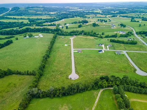 View/Area - 139 Bruce Meadows Dr, Beechgrove, TN 37018 photo 3 of 5