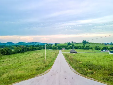 View/Area - 139 Bruce Meadows Dr, Beechgrove, TN 37018 photo 1 of 5