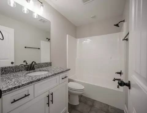 Bath - 139 Bruce Meadows Dr, Beechgrove, TN 37018 photo 5 of 5