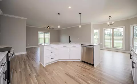 Other - 139 Bruce Meadows Dr, Beechgrove, TN 37018 photo 2 of 6