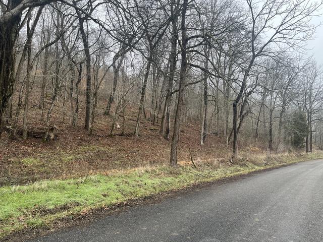 0 Cathcart Rd, Frankewing, TN 38459