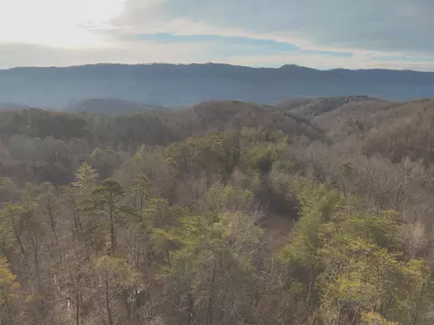 1133 Macedonia Martin Gap Rd, Englewood, TN 37329