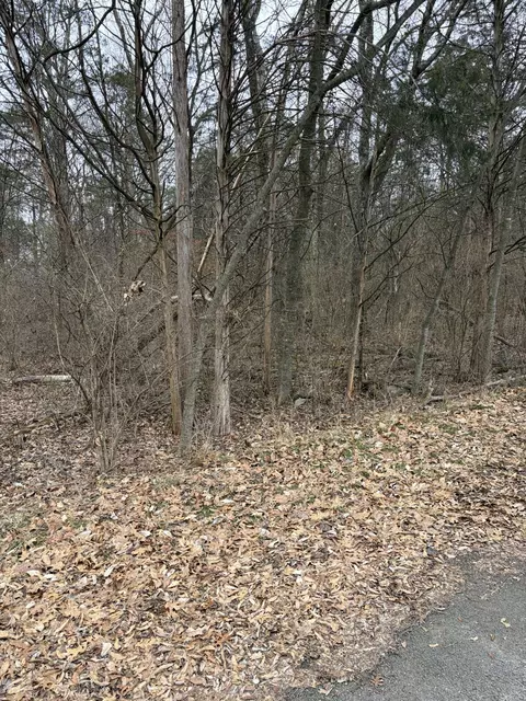 0 Dixie Ln, Murfreesboro, TN 37129 photo 8