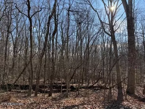 113 Overlook Cv, Crossville, TN 38558