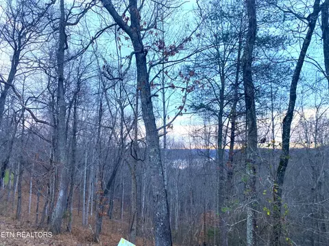 4160 Demory Rd, La Follette, TN 37766