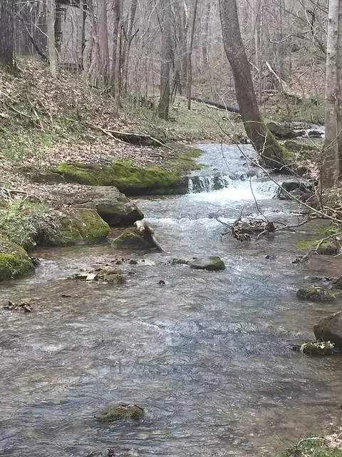 0 Old Highway 31e, Westmoreland, TN 37186