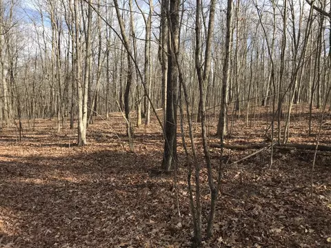 0 Greenfields Way N, Dunlap, TN 37327