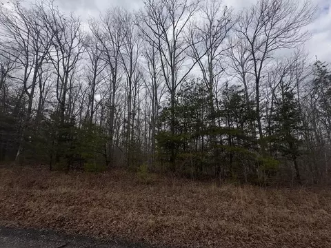 16 Stockton Bluffs Ln # R, Jamestown, TN 38556