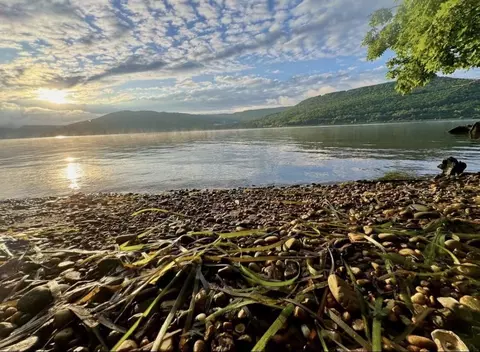 0 Admiral Ct, Jasper, TN 37347