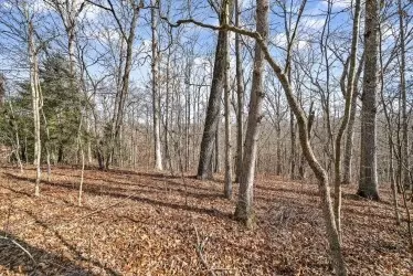30 Devon Loop, Crossville, TN 38558 photo 3