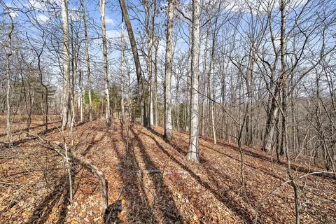 30 Devon Loop, Crossville, TN 38558 photo 2