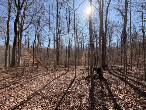 0 Tonya Trl, Cumberland Furnace, TN 37051