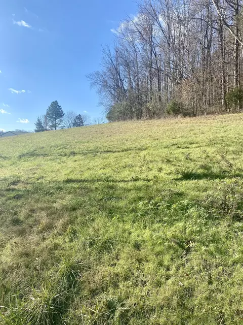 Other - 4570 Highway 64 E, Pulaski, TN 38478 photo 5 of 9
