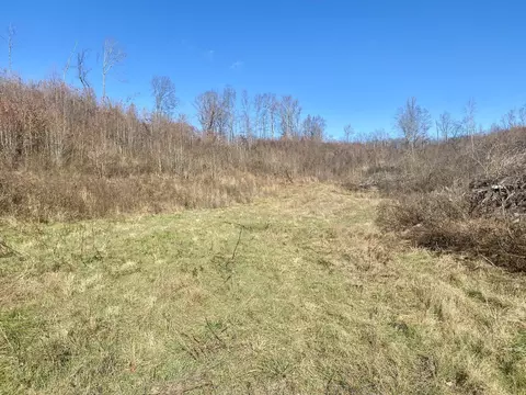 Other - 4570 Highway 64 E, Pulaski, TN 38478 photo 8 of 9