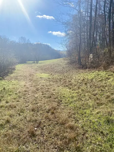 Other - 4570 Highway 64 E, Pulaski, TN 38478 photo 6 of 9