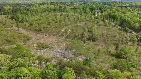 13406 Eldridge Rd, Harrison, TN 37341 photo 8