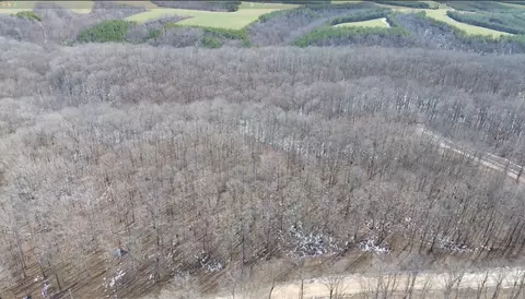 0 Three Rivers Dr, Hurricane Mills, TN 37078