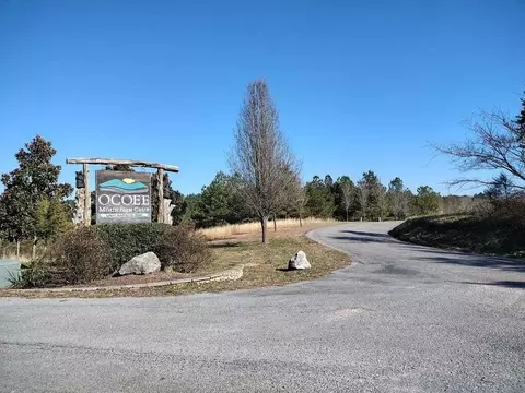 115 Casson Rd, Ocoee, TN 37361 photo 2