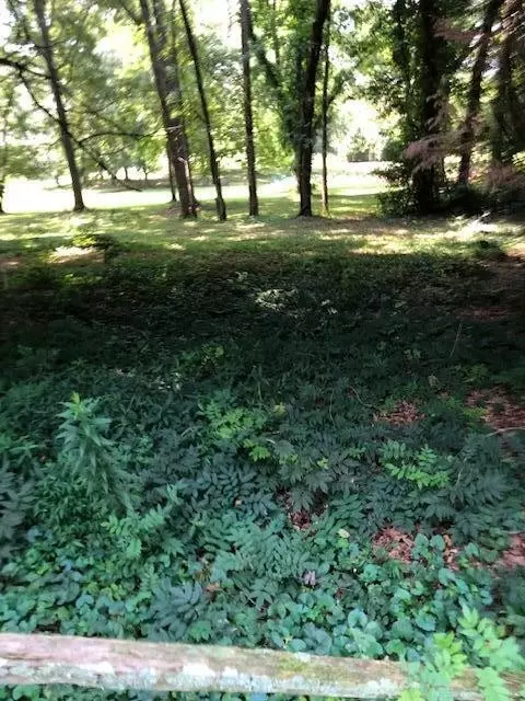 1 NW Timber Trace Cir NW, Cleveland, TN 37311