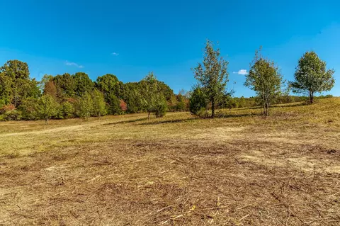 2 Rock Bridge Rd, Bethpage, TN 37022 photo 13