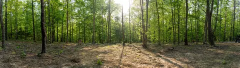 3 Pinewood Rd, Nunnelly, TN 37137