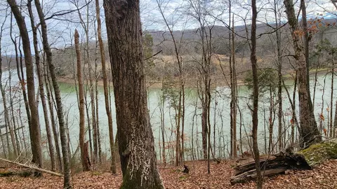 0 Simmons Cem Rd, Quebeck, TN 38579