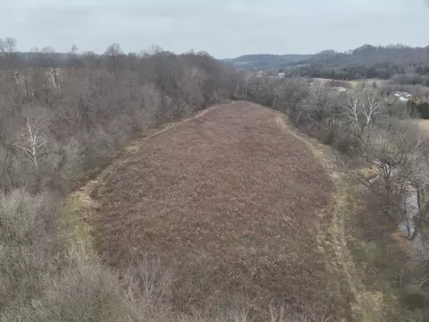 0 Hwy 64 E, Pulaski, TN 38478 photo 6