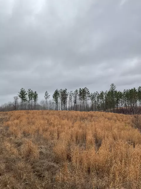 0 Sagebrush Way, Dover, TN 37058