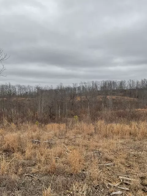 0 Saddleback Dr, Dover, TN 37058 photo 3