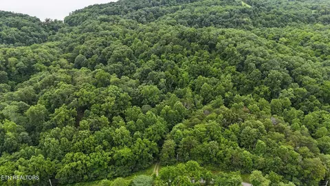 0 Fortunato Dr, White Pine, TN 37890