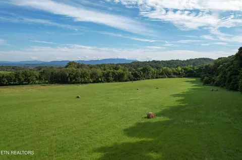 2 Cornfield Ln, White Pine, TN 37890
