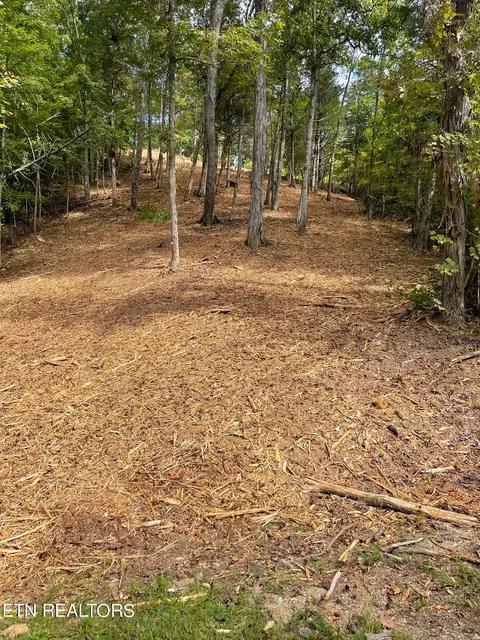 85 Stone Bridge Dr, Dandridge, TN 37725