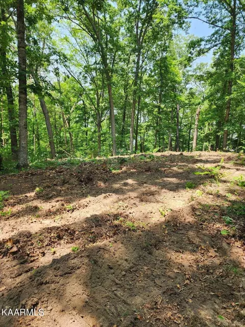 9 Painted Sky Dr, Dandridge, TN 37725