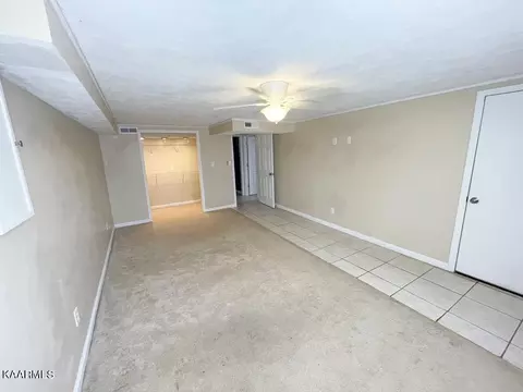 6780 Colgate Dr, Talbott, TN 37877 photo 30