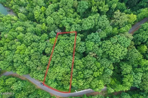 20 Bonnevista Dr, White Pine, TN 37890