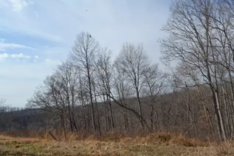 0 Hush Hollow Ln, Baxter, TN 38544 photo 17