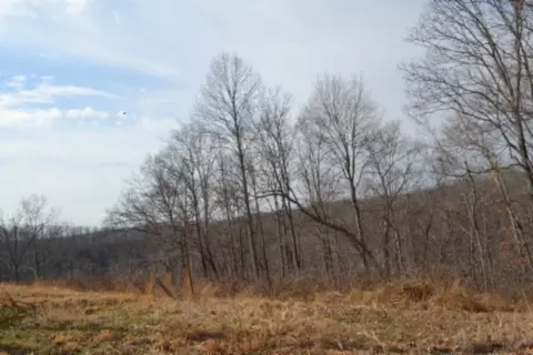 0 Hush Hollow Ln, Baxter, TN 38544 photo 10