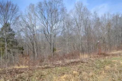 0 Hush Hollow Ln, Baxter, TN 38544
