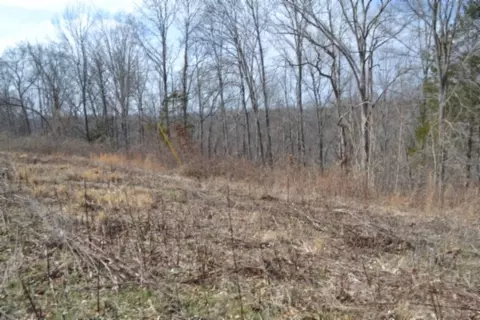 0 Hush Hollow Ln, Baxter, TN 38544 photo 16