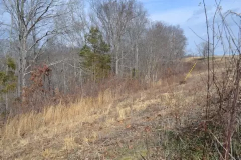 0 Hush Hollow Ln, Baxter, TN 38544 photo 12