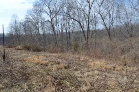 0 Hush Hollow Ln, Baxter, TN 38544 photo 9