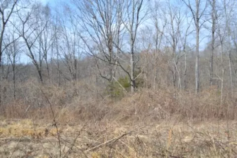 0 Hush Hollow Ln, Baxter, TN 38544 photo 7