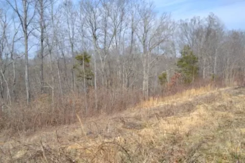 0 Hush Hollow Ln, Baxter, TN 38544 photo 8