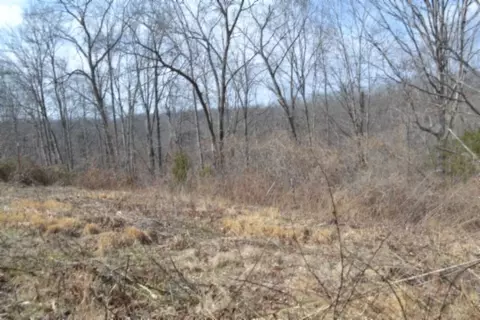 0 Hush Hollow Ln, Baxter, TN 38544 photo 6