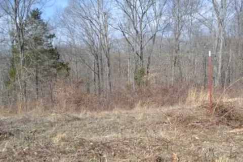 0 Hush Hollow Ln, Baxter, TN 38544 photo 14