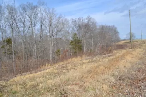 0 Hush Hollow Ln, Baxter, TN 38544 photo 11