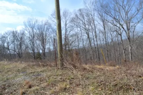 0 Hush Hollow Ln, Baxter, TN 38544 photo 19