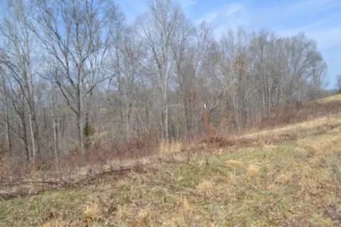 0 Hush Hollow Ln, Baxter, TN 38544 photo 13
